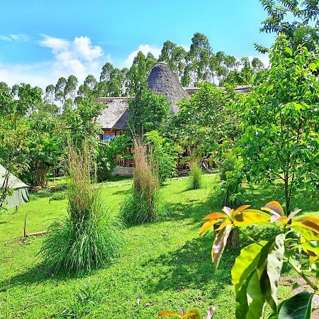 Chimpanzee Capital Safari Lodge Bigodi Luaran gambar