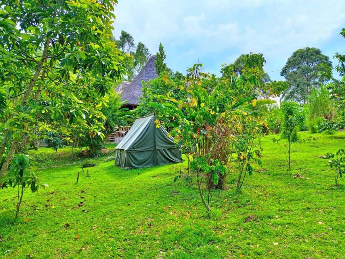 Chimpanzee Capital Safari Lodge Bigodi Luaran gambar